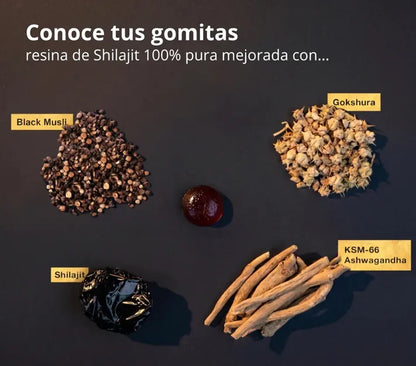Eleveit Gold Gomitas de Shilajit Puro del Himalaya